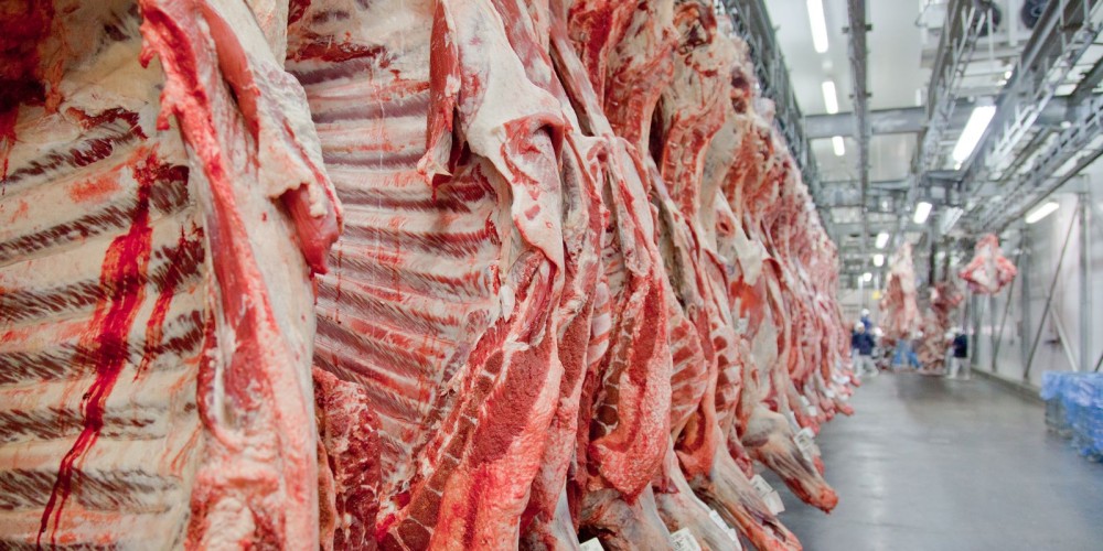 Exportação de Carne Bovina bate Recorde Antes de Novas Taxas